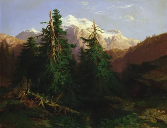 Gletscher, Rosen Lanigletscher, 1854